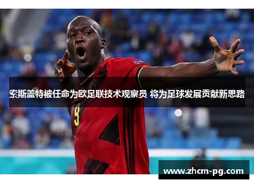 索斯盖特被任命为欧足联技术观察员 将为足球发展贡献新思路 索斯盖特被任命为欧足联技术观察员 将为足球发展贡献新思路